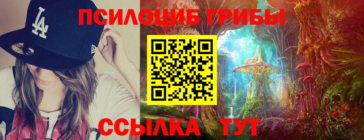 Кингисепп  Галлюциногенные грибы мицелий  Псилоцибиновые грибы Psilocybine cubensis  Вход с VPN 